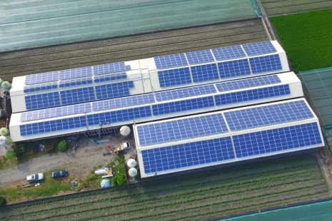 雲林程水城豬舍