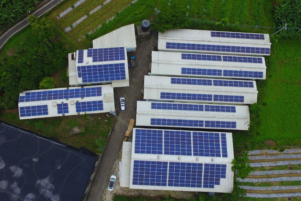 張榮華菇寮一期